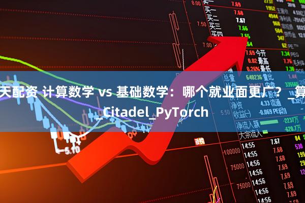 按天配资 计算数学 vs 基础数学：哪个就业面更广？_算法_Citadel_PyTorch