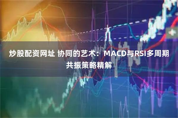 炒股配资网址 协同的艺术：MACD与RSI多周期共振策略精解